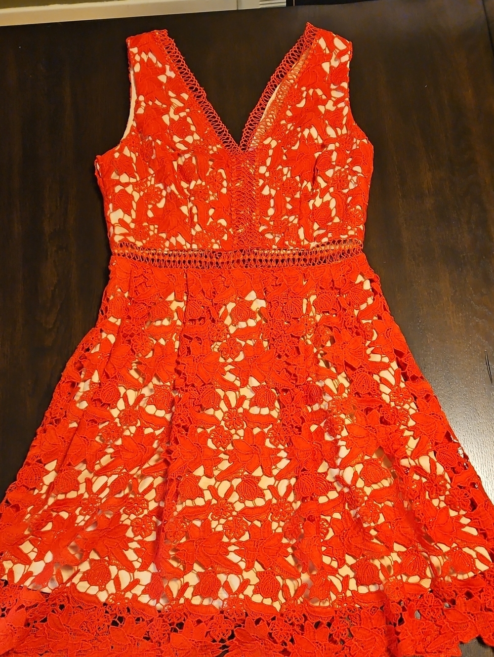 Alya Red Floral Lace V-Neck Mini Dress
